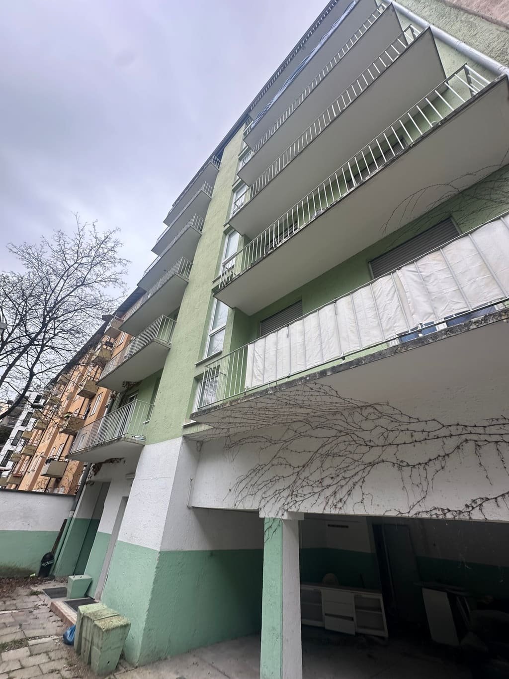 Hofseite im Bestand 2024: Balkone mit Brüstungsverkleidung, grün gestrichener Sockel, kahle Kletterpflanze
