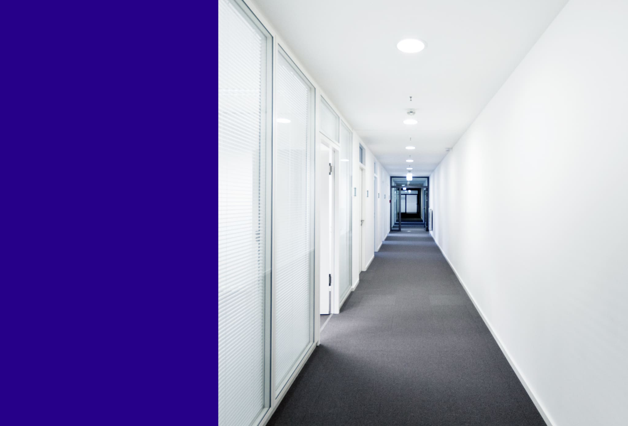 Long corridor with grey carpet, glazed office partitions with blinds and white doors on the left, blank white wall right